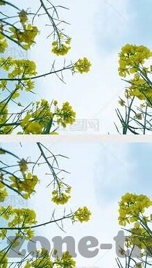 阿凡达成人版中文字幕-探索阿凡达成人版中文字幕的奇幻之旅