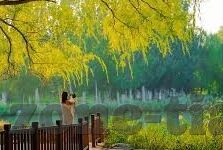 成人糖心vlog视频-成人糖心vlog视频，探索成人世界中的真实与私密