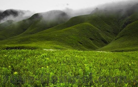 大象传媒免费版下载-免费畅享大象传媒，探索数字娱乐的新境界