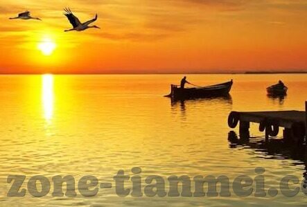 国产视频 麻豆-如何看待国产视频平台的兴起——以麻豆为例