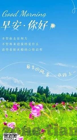 国外成人免费视频-与网络伦理的边界，理性探讨与自我保护