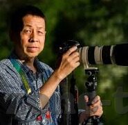 麻豆mv媒体视频-麻豆MV，新媒体时代下的视听盛宴
