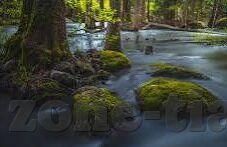 麻豆映画传媒视频-麻豆映画传媒视频，光影与创意的交错舞台
