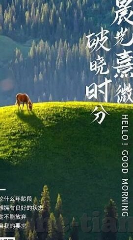 糖心vlog传媒app-糖心Vlog传媒app，记录生活新风尚，分享美好时光