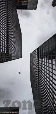 糖心直播app官网下载-探索糖心直播，构建精彩互动娱乐的新视界